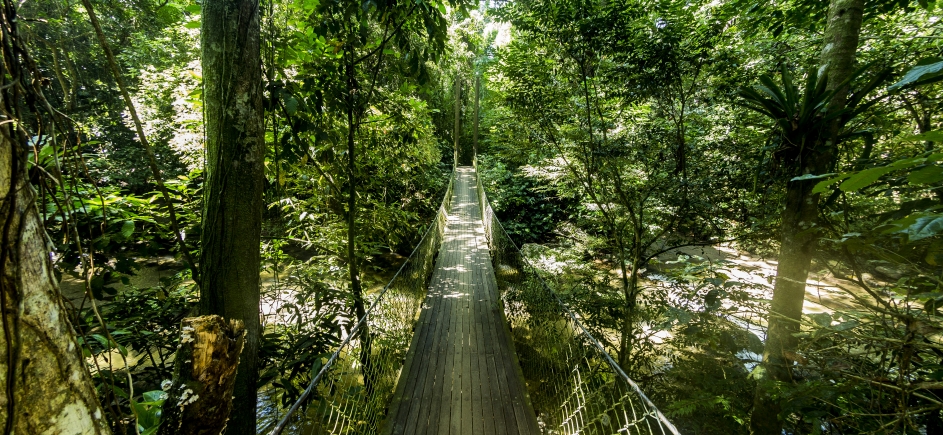 Circuito Escandinavo - Litoral Verde